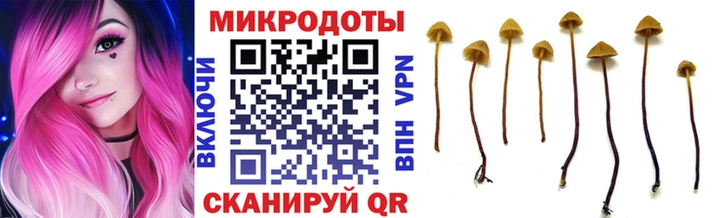Псилоцибиновые грибы Cubensis  Купить закладки  Магас 
